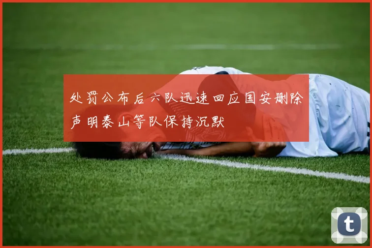 处罚公布后六队迅速回应国安删除声明泰山等队保持沉默