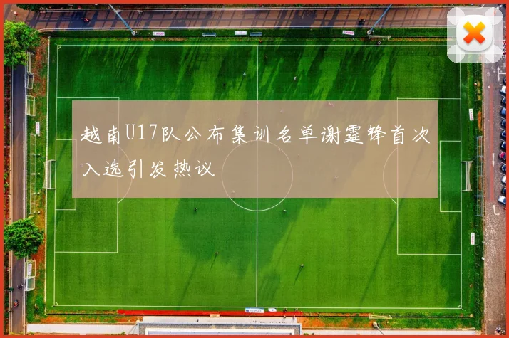越南U17队公布集训名单谢霆锋首次入选引发热议