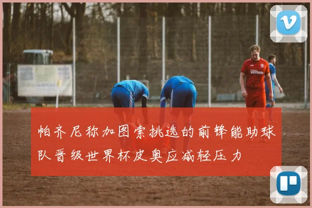 帕齐尼称加图索挑选的前锋能助球队晋级世界杯皮奥应减轻压力